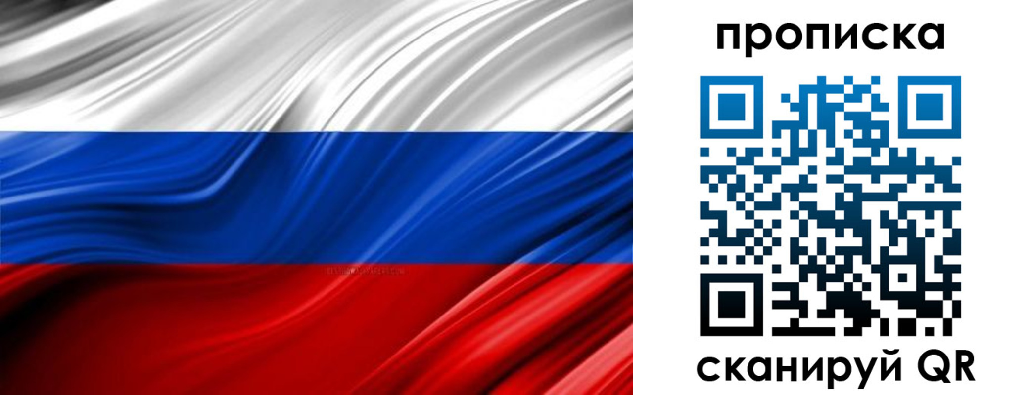 прописка для школы в Архангельской области